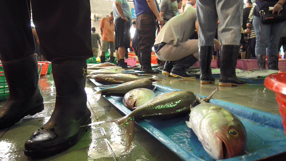 【預告】以「安全食魚」的堅持提升水產競爭力 高雄蚵仔寮漁港獲國際認證｜土地的微笑