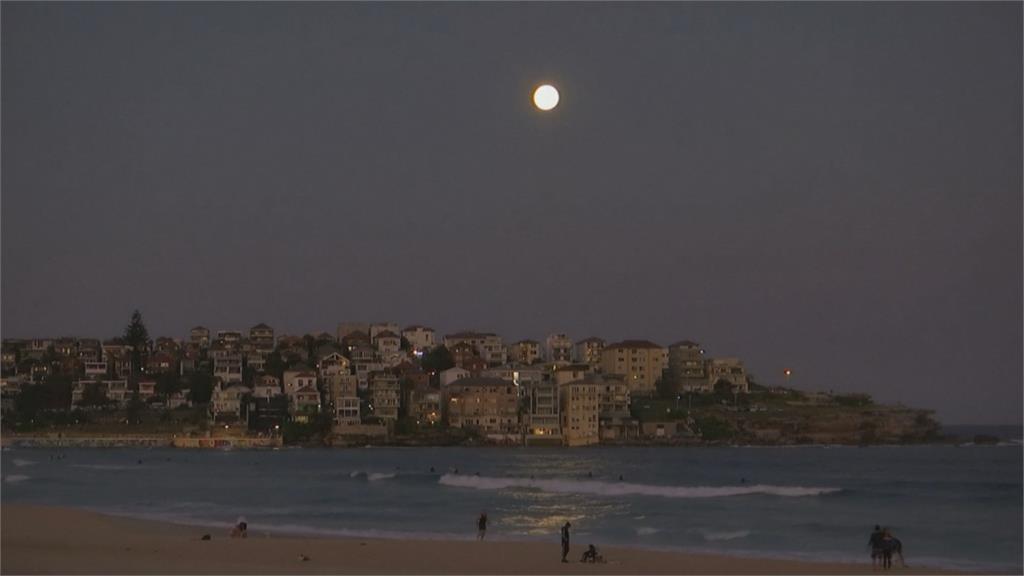 超級月亮高高掛 雪梨民眾海灘賞美景