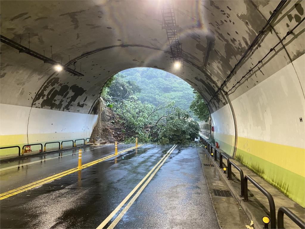 快新聞／北市內湖康樂隧道「路樹崩塌」！　出入口阻斷無法通行