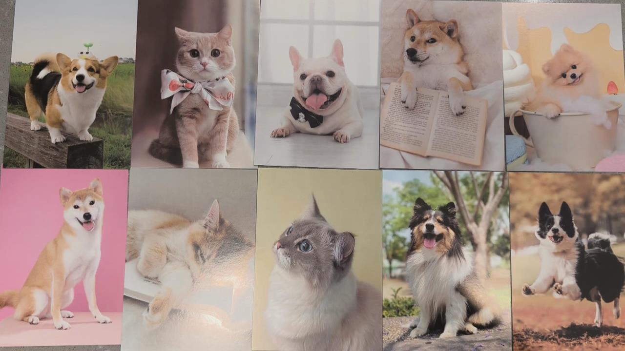 毛孩沙龍照郵票徵選結果出爐！　自近3萬作品脫穎而出