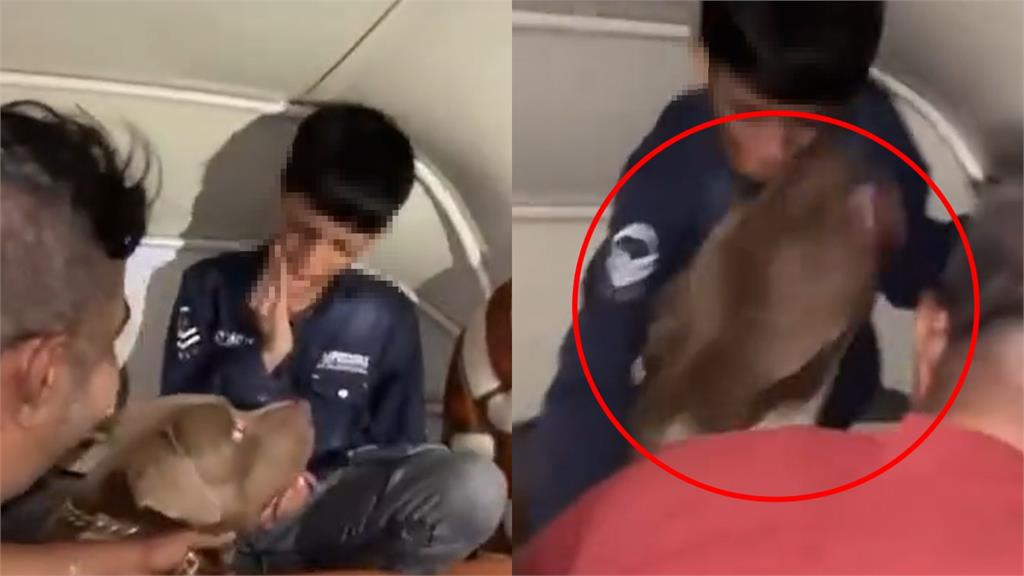 男孩遭比特犬「逼角落猛咬」15秒畫面曝!飼主竟「惡劣大笑」還放狗追人