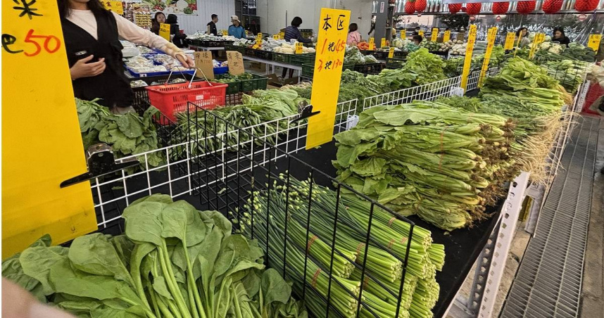 颱風一走菜價漲菜蟲偷賺? 菜販:別再用北部人認知看台灣