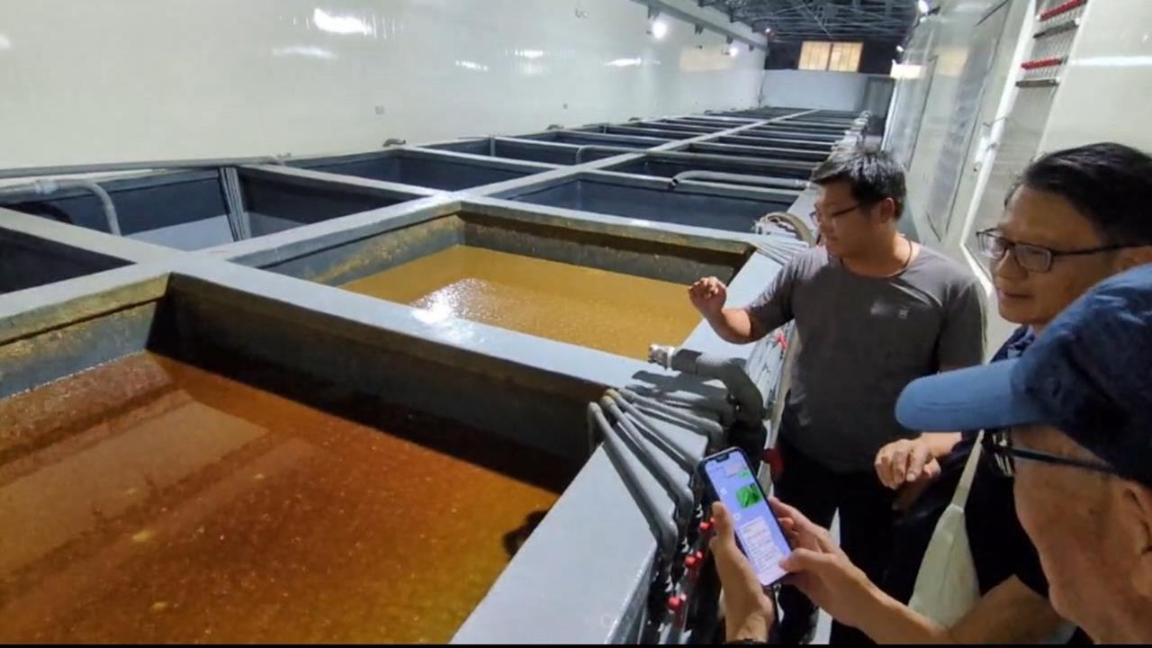 「東成醬油」打卡單瘋傳　竟是董事長10多年前上班紀錄