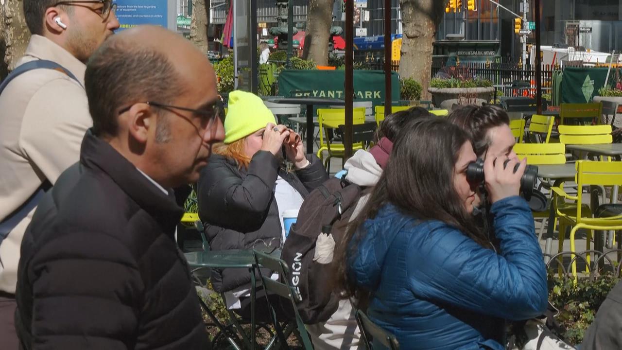 紐約曼哈頓鬧區現「美洲山鷸遷徙」　鳥迷搭整夜火車直擊感動哭了