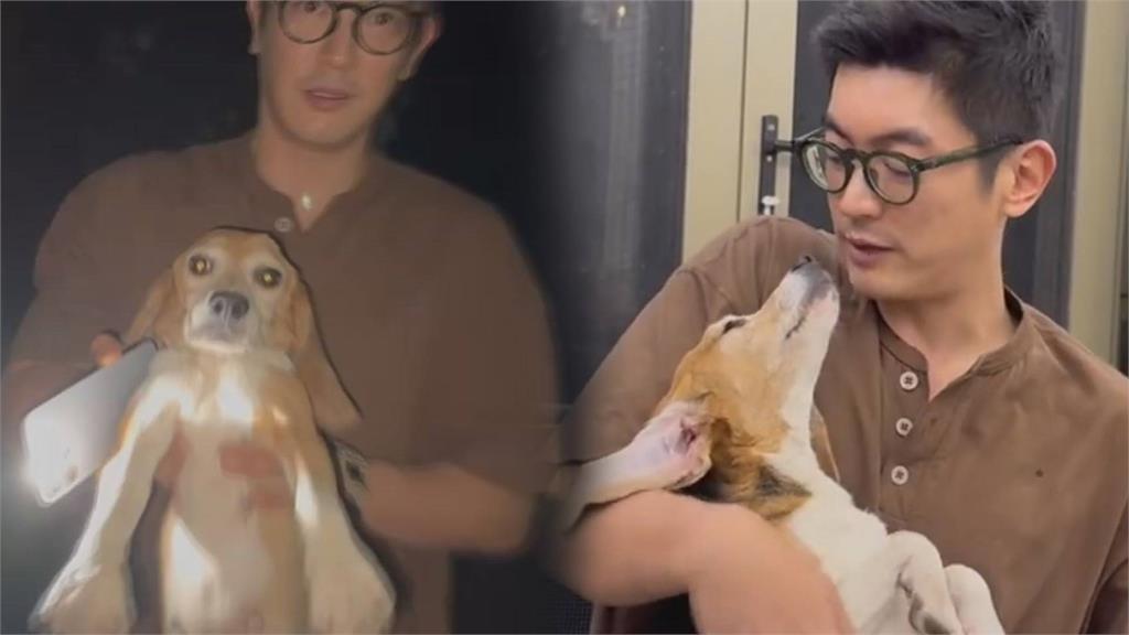對抽血習以為常！男星路救實驗犬「全身傷引心疼」　取名藏洋蔥網友看哭了