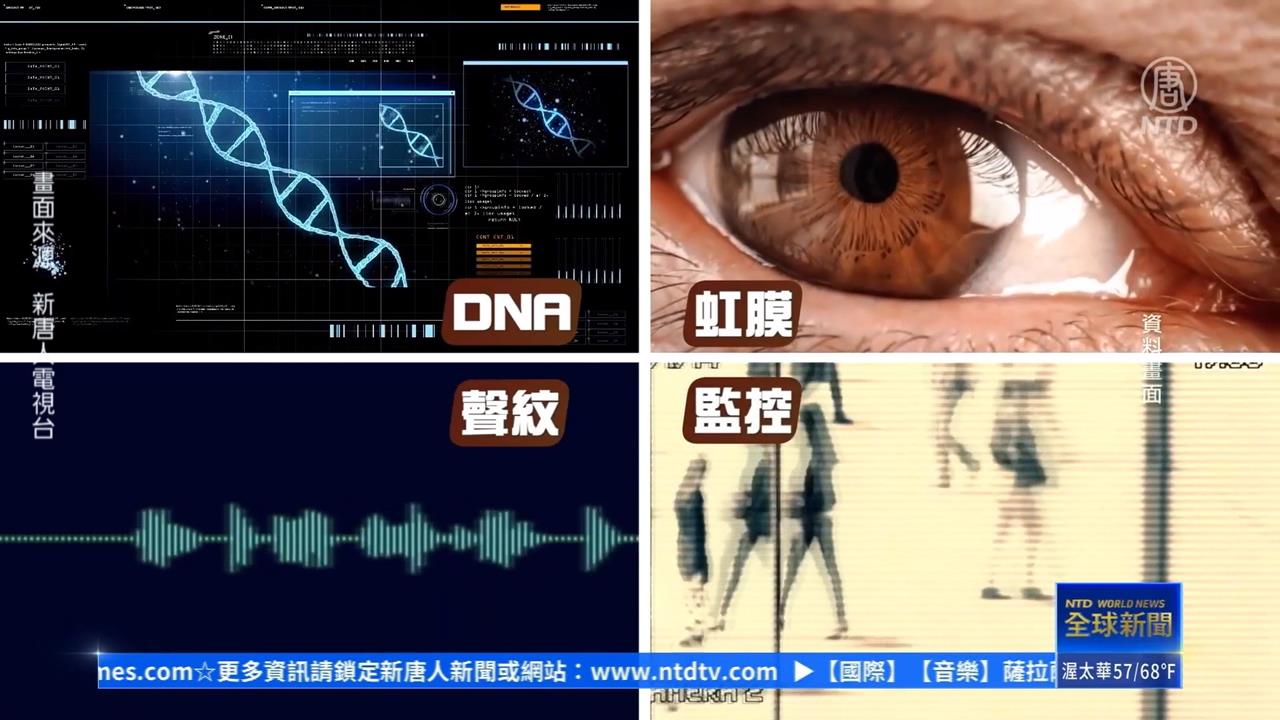 內蒙古強採DNA　器官移植疑雲再起