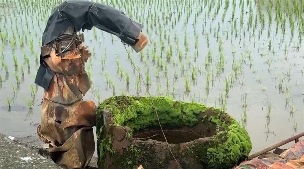 疑機器漏電！　　彰化青農移動抽水機觸電身亡