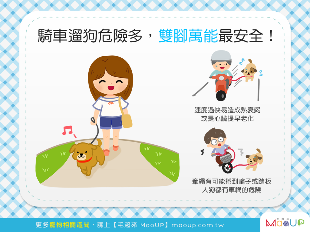【汪汪出門趣】習慣騎車遛狗嗎？「腳踏實地」才安全喔！