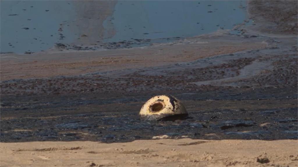 3000桶原油染南加州海岸　當局關海灘哀生態浩劫