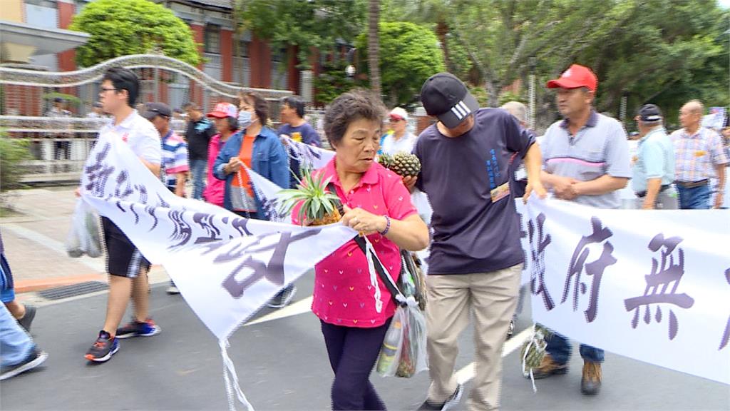 鳳梨產地價崩 五縣市農民北上丟鳳梨抗議