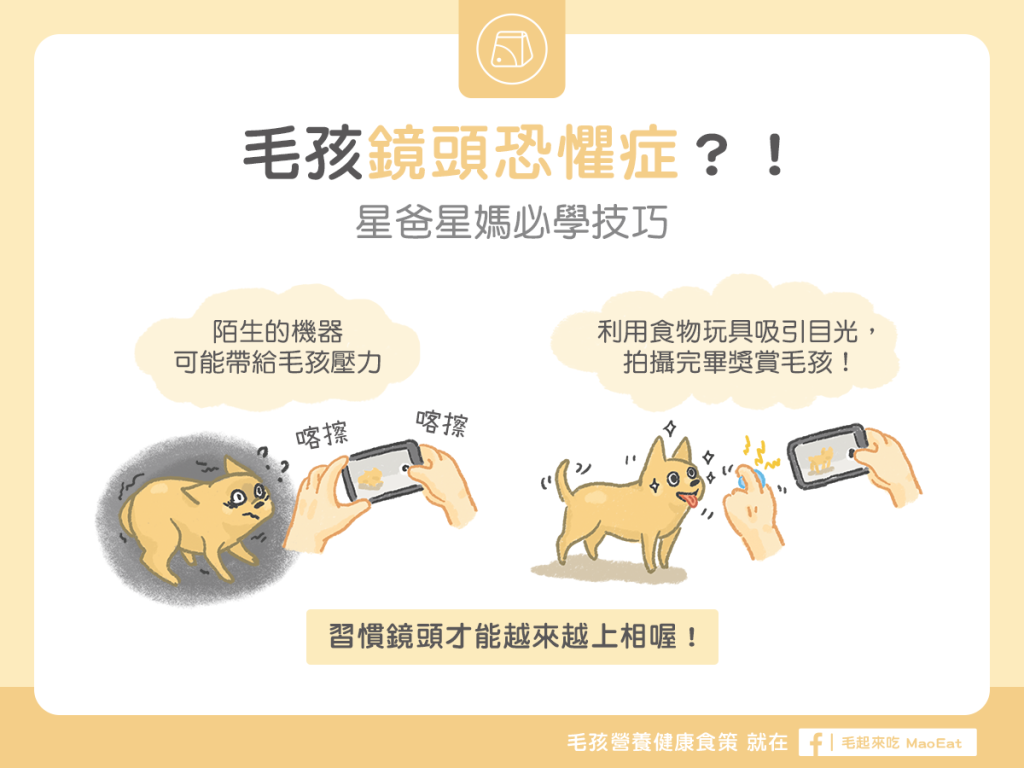 【汪喵訓練術】毛孩鏡頭恐懼症？！星爸星媽必學技巧