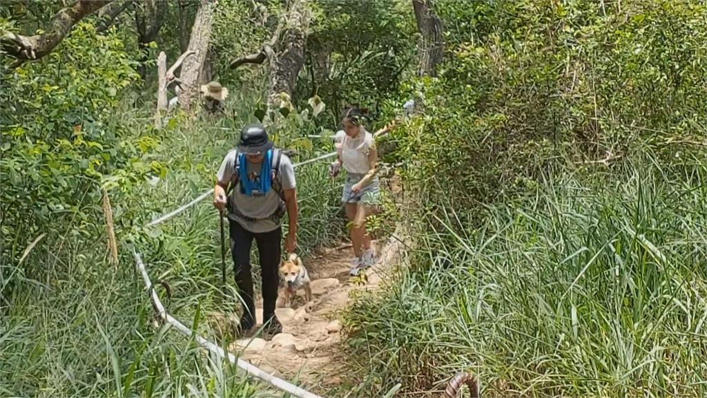 新竹林管處攜手登山協會 推出「山徑認養契約」