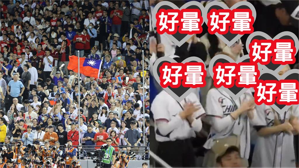 台日大戰換投掀戰火!日球迷見「一排台灣女神狂跳」倒戈:爆炸了