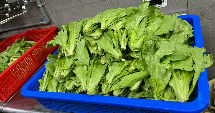 北市生鮮蔬果25%農藥超標!「火鍋神物」不合格最多 三媽、大全聯都上榜
