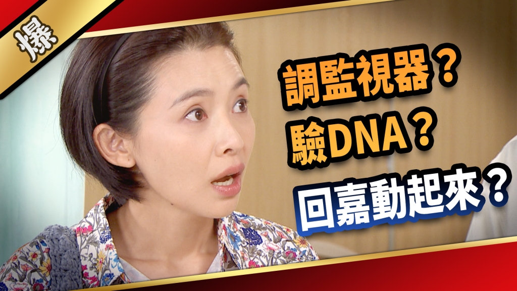 《愛的榮耀-EP215精采片段》調監視器？驗DNA？ 回嘉動起來？