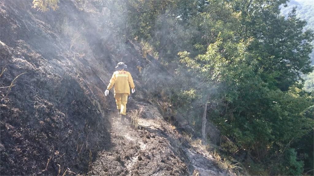 疑人工造林不慎 1.4公頃梨山森林燒毀