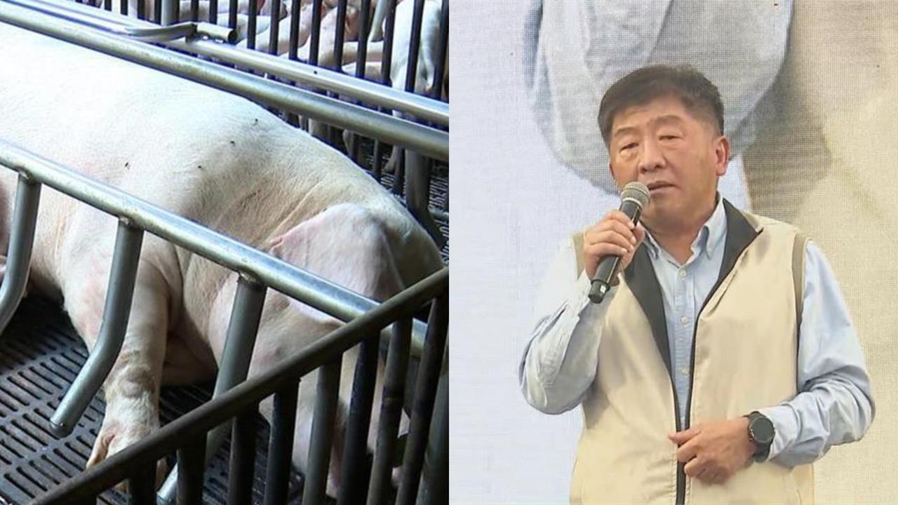 台中爆非洲豬瘟首例!陳時中再披「紅背心」坐鎮前線…網喊:看到他就安心