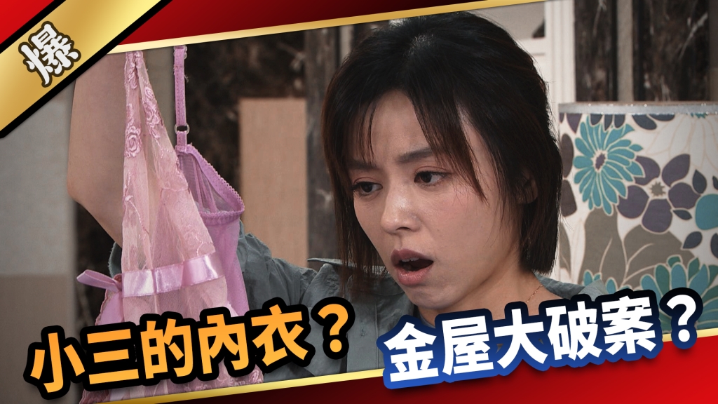 《愛的榮耀-EP208精采片段》小三的內衣？ 金屋大破案？