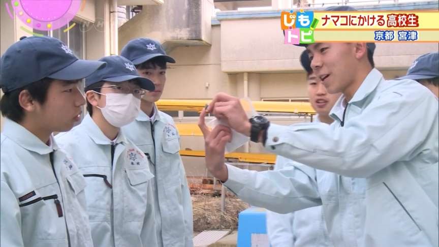 日本高中生團隊 成功人工培育海參進行野放