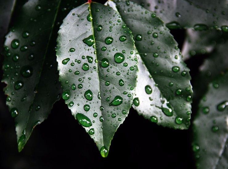 [2019/12/12]東北季風影響 北部東北部有局部短暫雨