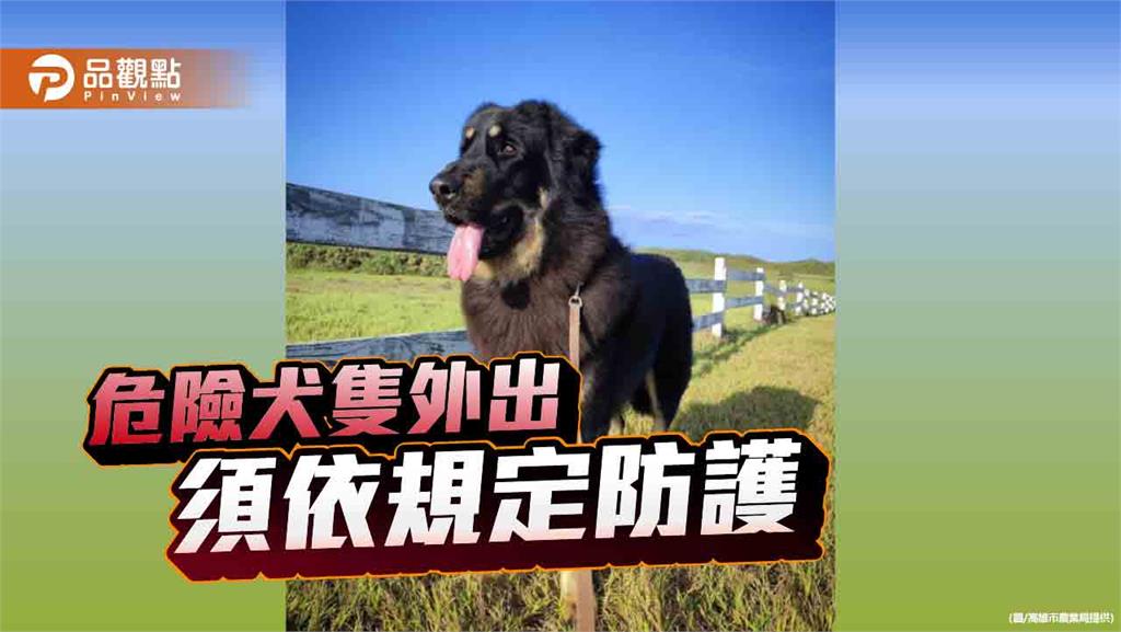 6大危險犬種及有攻擊紀錄犬隻 外出須依規定防護以免受罰