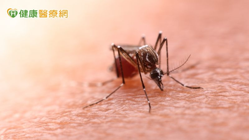 境外移入瘧疾增1例！20多歲男發燒嘔吐復發　赴這些國家要小心