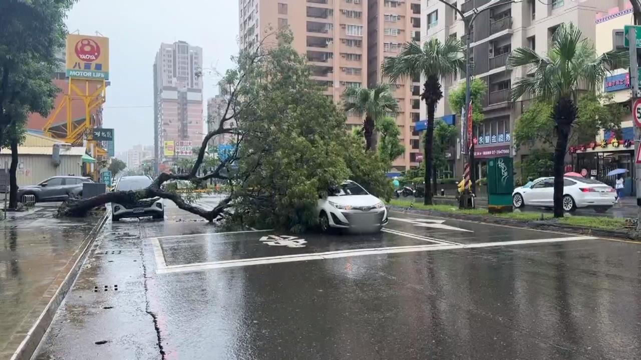 高雄8月降雨破紀錄　前鎮區路樹倒塌砸毀2車