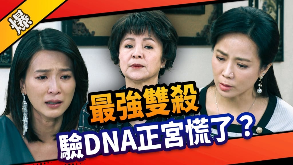 《市井豪門-EP17精采片段》最強雙殺    驗DNA正宮慌了？