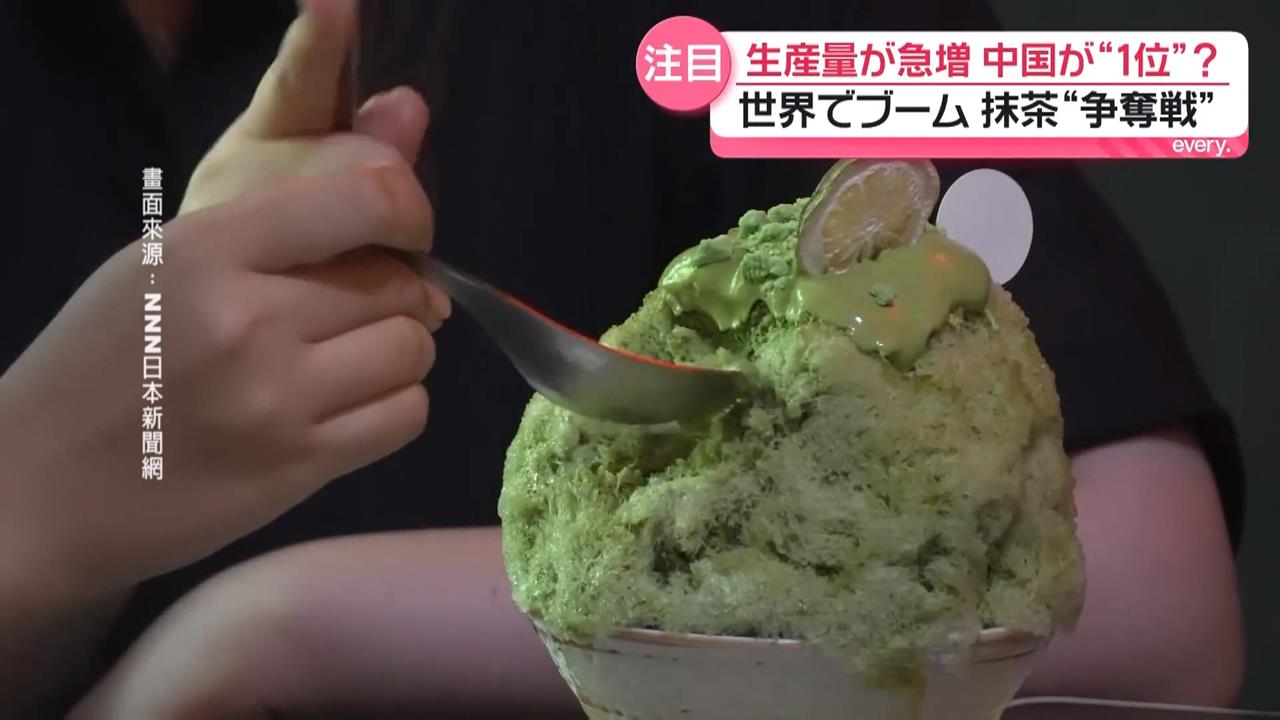 全球夯抹茶！中國貴州1年可收成4次　成全球最大產地