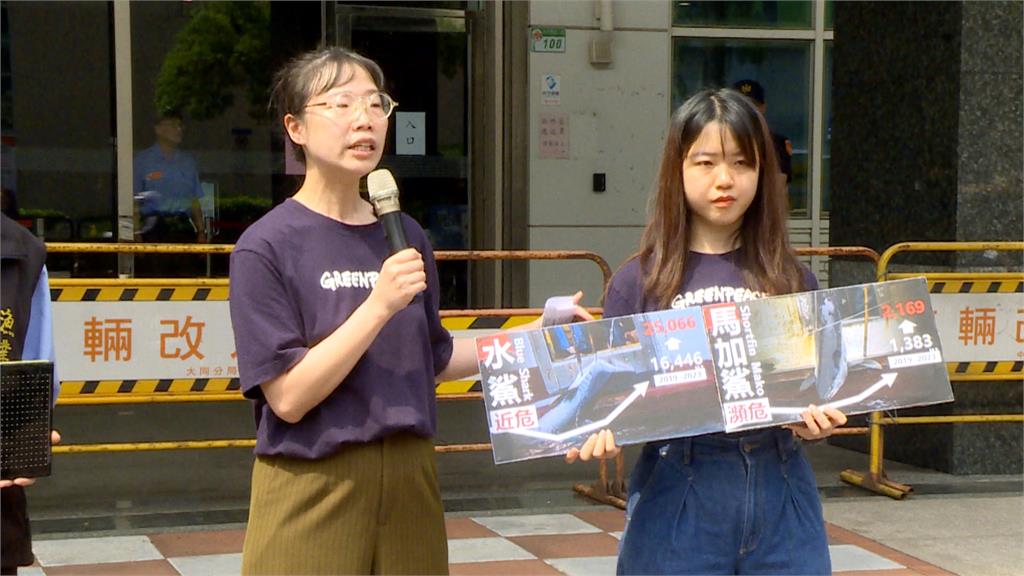 台灣漁船公海非法捕鯊　綠色和平抗議漁業署從未裁罰！