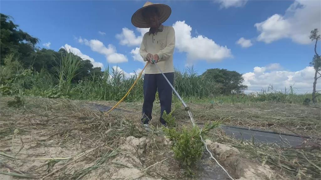 史無前例！南台灣水荒未解　嘉南平原一、二稻作全年休耕 - 民視新聞網