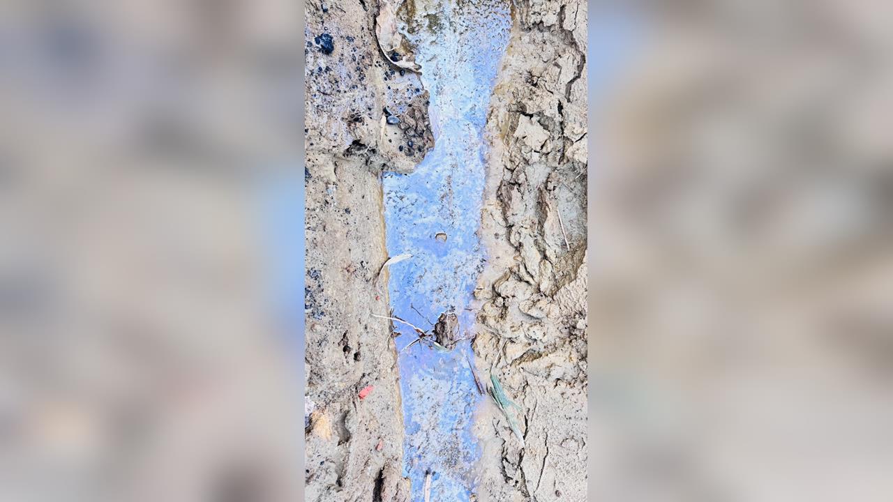 工地違法回填瀝青　瀝青油滲透「菜園毀壞」農民氣炸