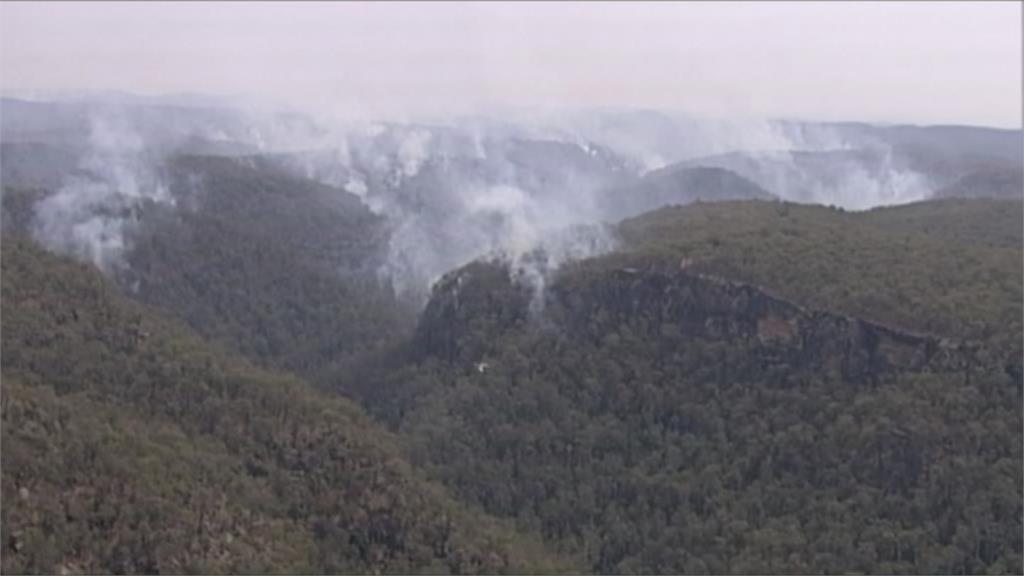 澳洲野火燒不停！遊客衝雪梨景點藍山敗興而歸