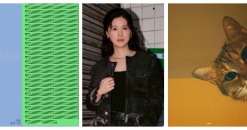 林予晞帳號半夜狂傳訊息!經紀人嚇壞 一查竟是貓咪搞鬼