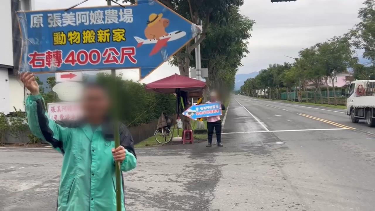 宜蘭張美阿嬤農場姊弟分家　遊客站路口當場「選邊站」