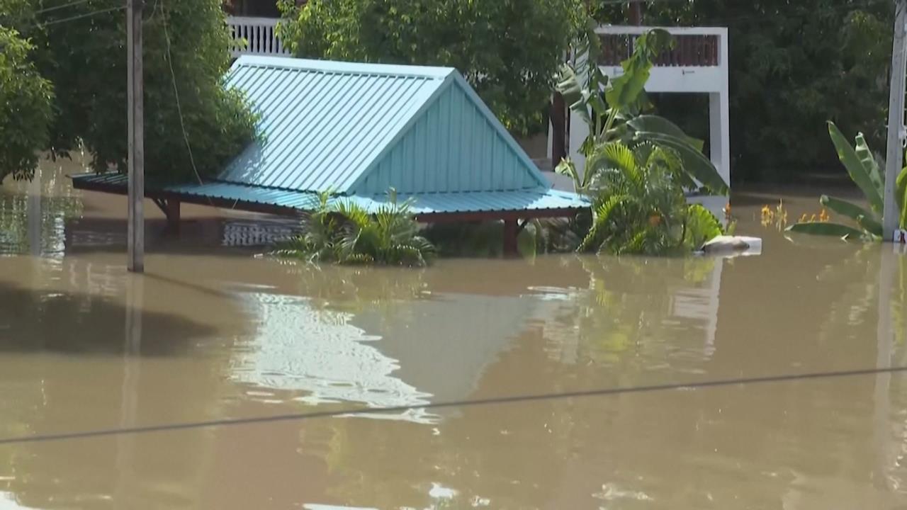 河水灌進泰國餐廳反成新景點 食客邊泡腳邊跟魚群互動