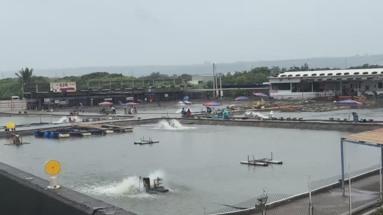 彰化伸港釣魚場情侶爆衝突　熱心夫妻勸架反遭毆