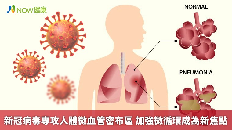 新冠病毒專攻人體微血管密布區 加強微循環成為新焦點