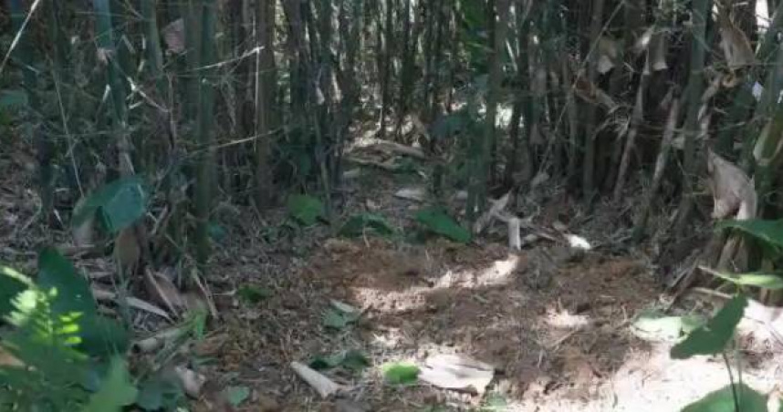 大叔挖蚯蚓竟掘出30公斤「精美大寶貝」 專家初判:來自千年前!