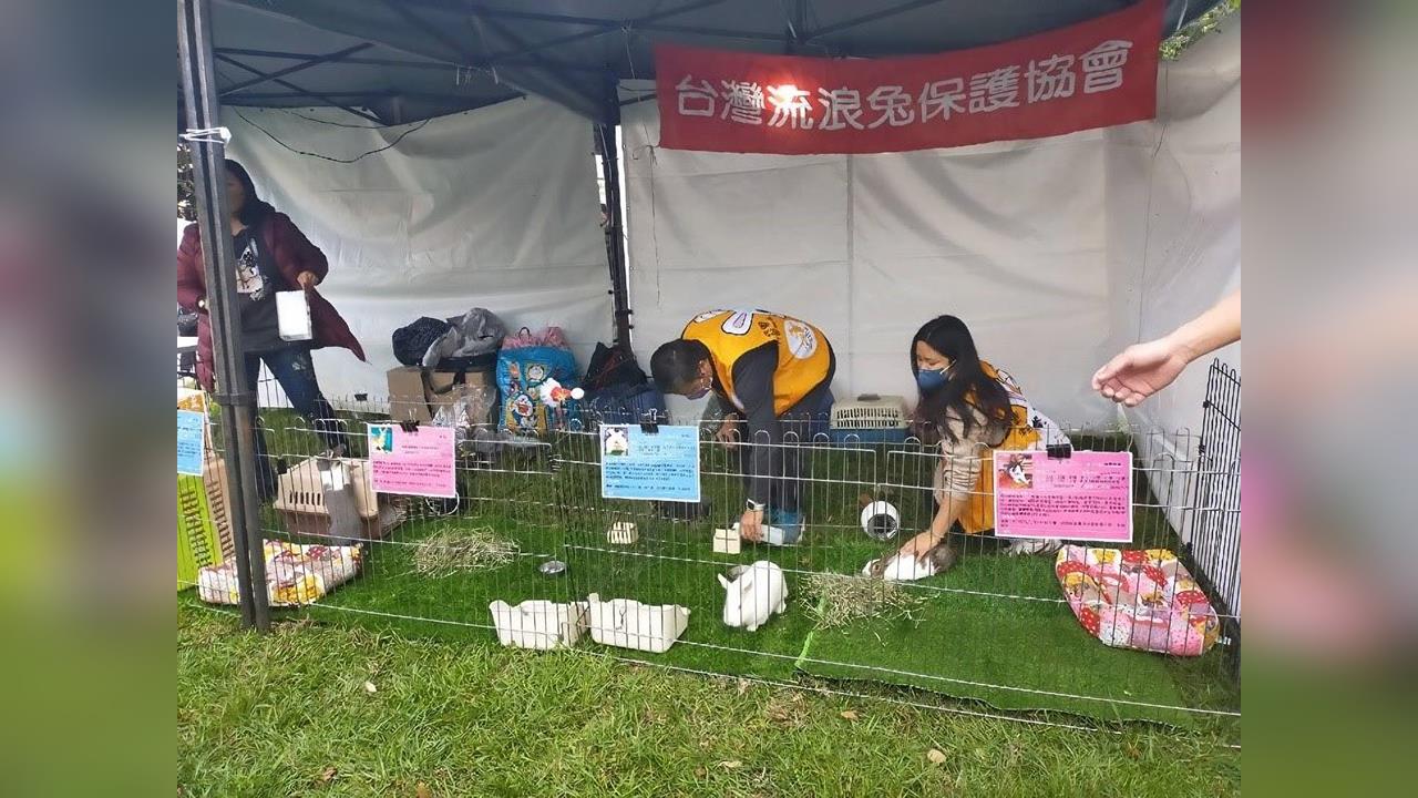 快新聞／新北毛孩爸媽有福了！寵物絕育補助最高2000元　申請資格、期限曝光