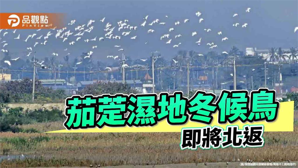 候鳥將北返 茄萣濕地春末賞鳥最後召喚