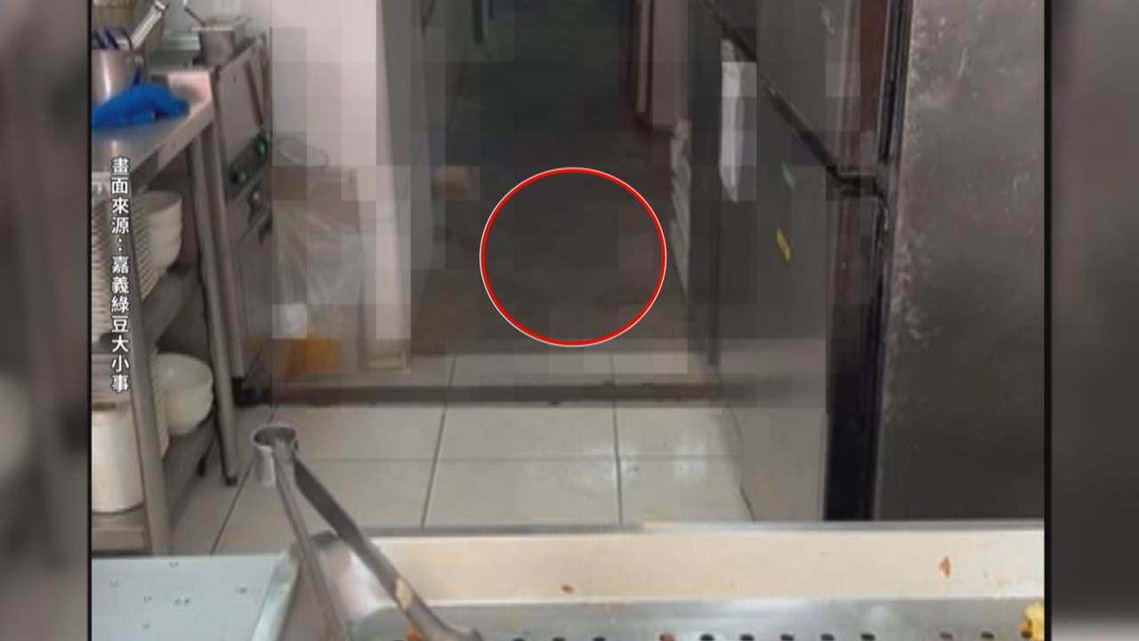 嘉義一連鎖鍋貼店「鼠輩橫行」　稽查出多項衛生缺失