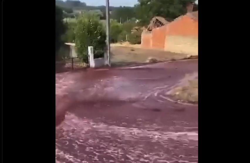 快新聞／葡萄牙小鎮遭「紅酒河」淹沒　220萬公升衝進村落驚人畫面曝