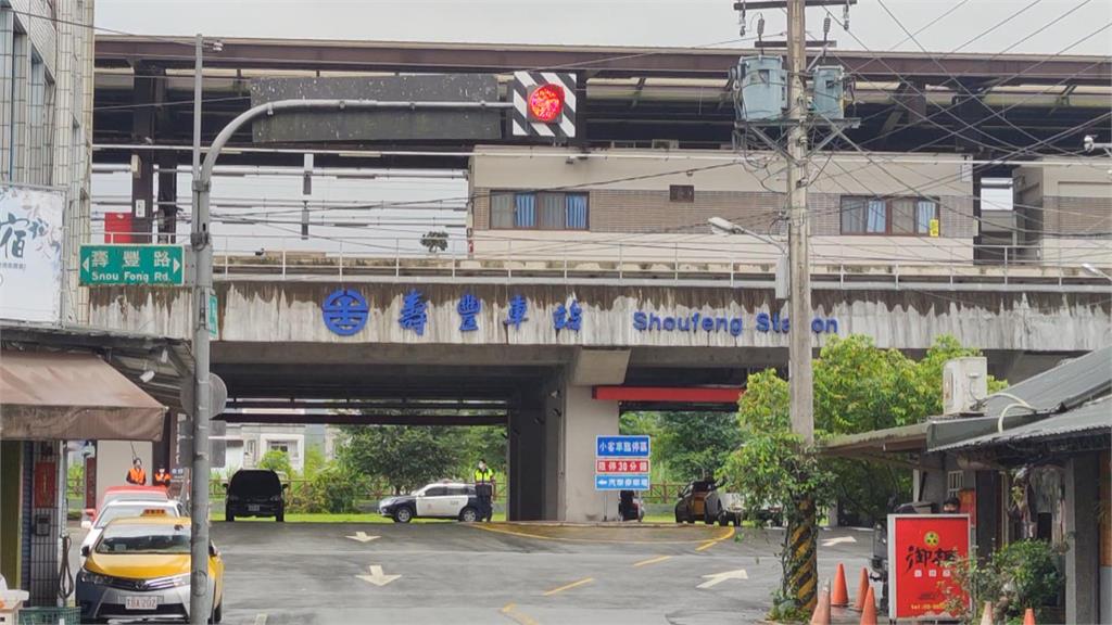 12條「類火車」提供疏運　一車撞上限高桿