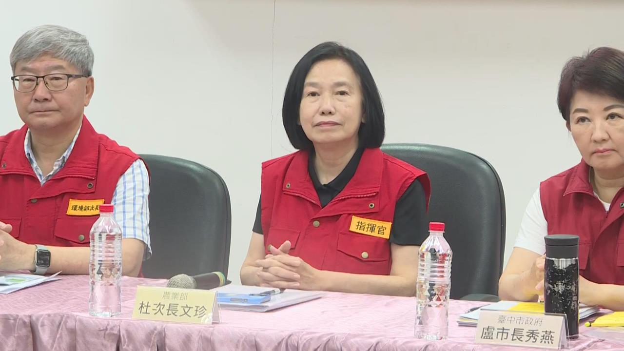 快新聞/豬隻禁運、禁宰令延長至15天? 杜文珍:與潛伏期有關