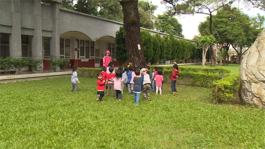 全台最美校樹在哪裡？花蓮瑞美國小百年黑松獲殊榮