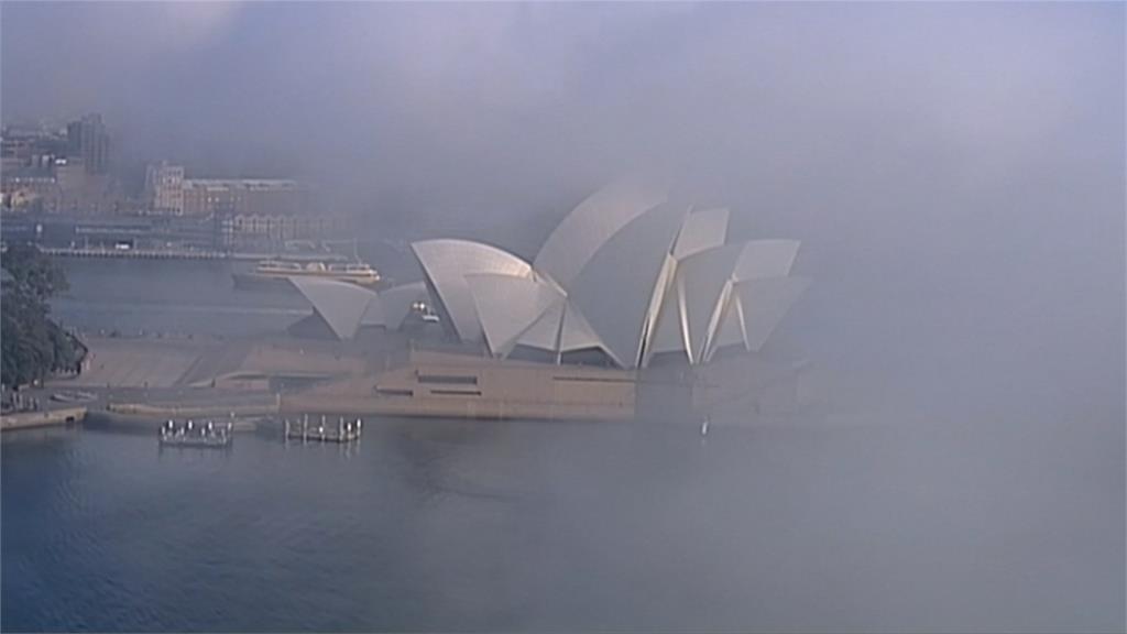 澳洲大霧亂交通！雪梨機場至少10航班取消