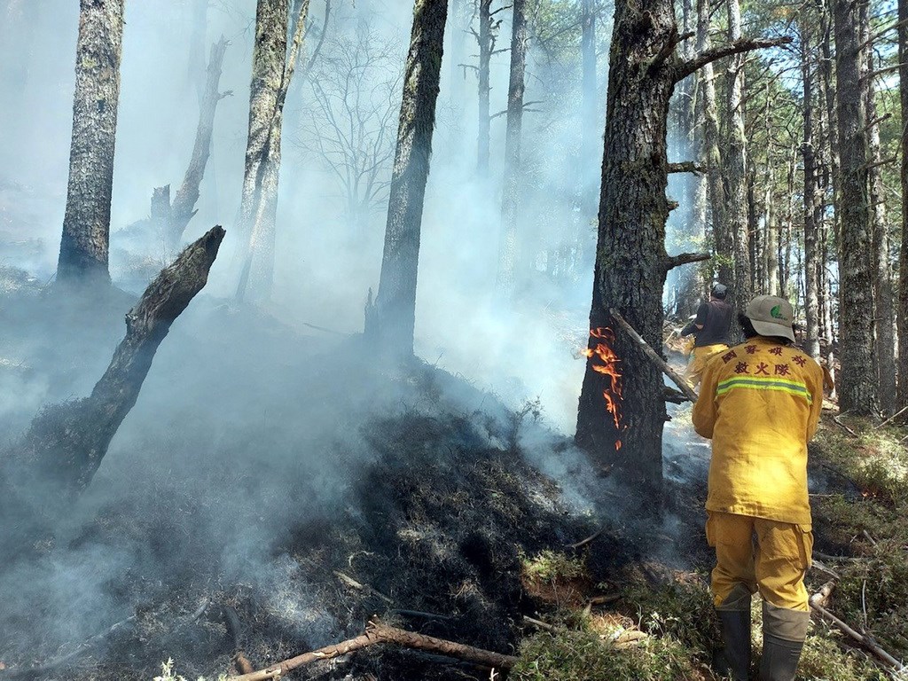 玉山森林大火延燒12天終於滅了　林務局：鉅額成本絕對求償