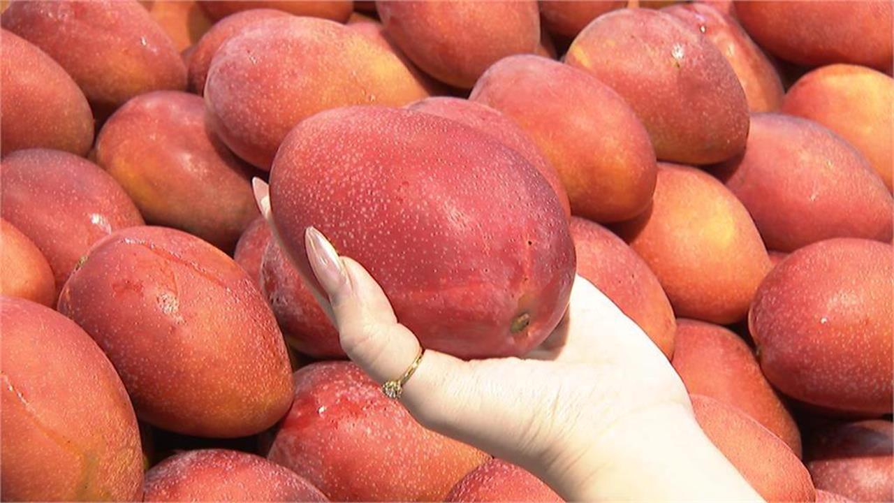 黑暗料理？立陶宛驚見「芒果水餃」農業部激推「農會1神品」喊：超級搭