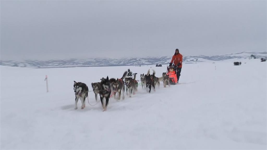 阿拉斯加狗拉雪橇賽 挪威音樂家跨界挑戰領先